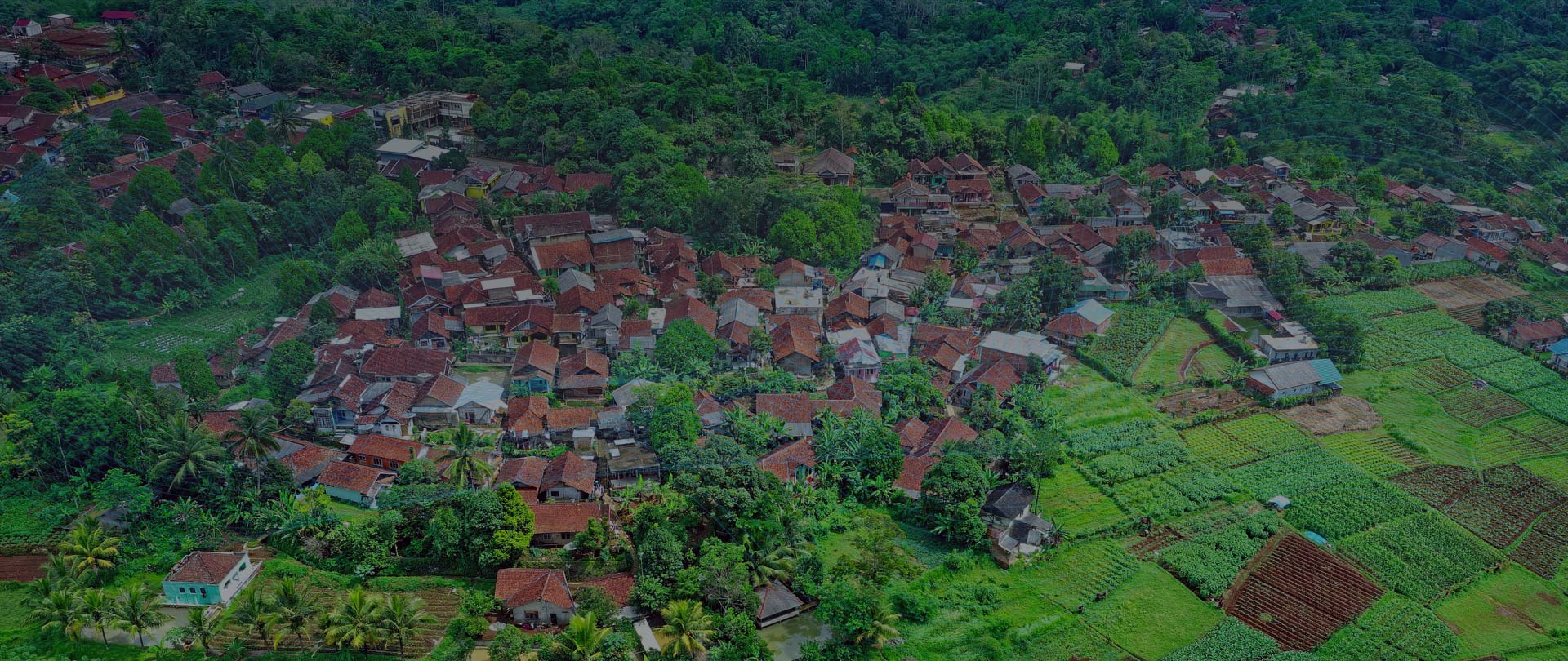 鄉(xiāng)村振興清潔生活一體化服務商